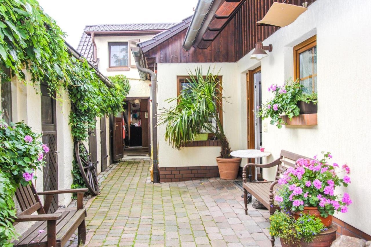 Appartamento Likedeeler 5 Zingst Esterno foto